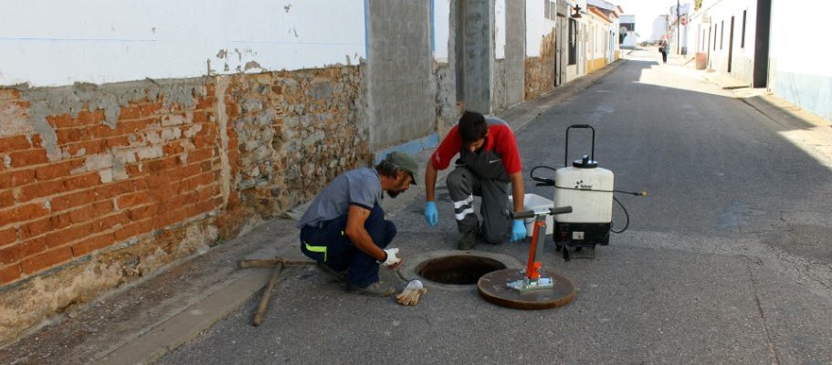 Arquivado: Campanha de desratização e desbaratização
