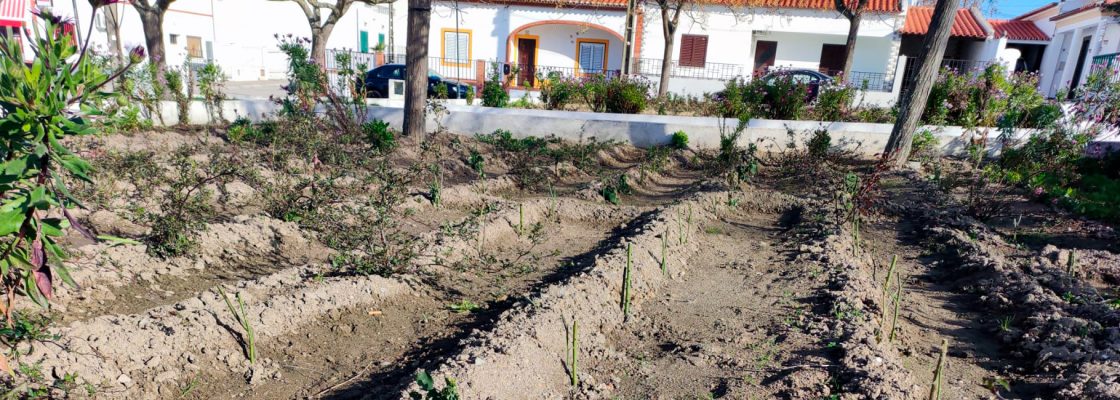 Manutenção e requalificação dos Espaços Verdes