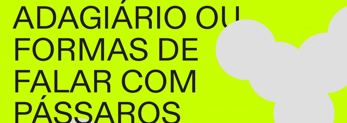 ADAGIÁRIO OU FORMAS DE FALAR COM PÁSSAROS – Exposição de Alexandre Delmar