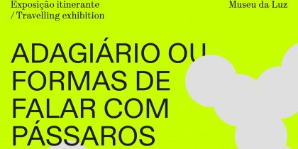 ADAGIÁRIO OU FORMAS DE FALAR COM PÁSSAROS – Exposição de Alexandre Delmar
