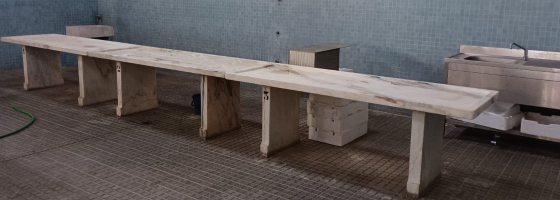 Mourão – 1.ª fase de reabilitação das bancas do Mercado Municipal