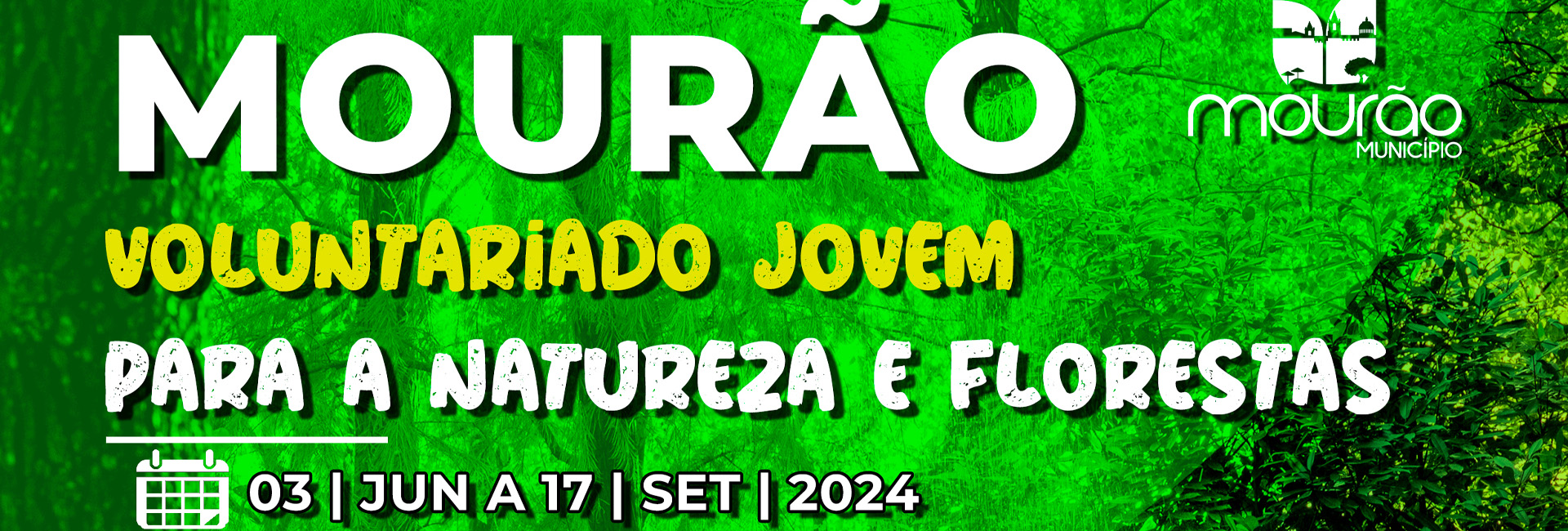 Voluntariado Jovem para a Natureza e Florestas - 2024