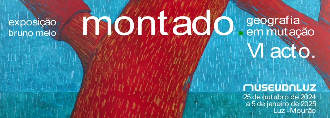 Exposição “MONTADO – GEOGRAFIA EM MUTAÇÃO” VI ACTO
