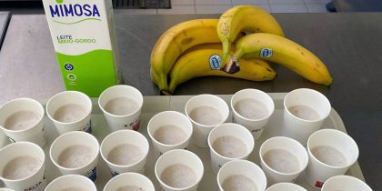 Alimentação Saudável em foco no Agrupamento de Escolas