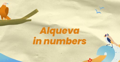 Alqueva in Numbers (EN)