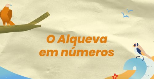O Alqueva em Números (PT)